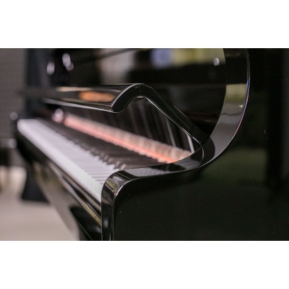 Wilh. Steinberg P152 New Acoustic German Grand Piano (P-152 / P 152 / Wilh.Steinberg / WilhSteinberg)