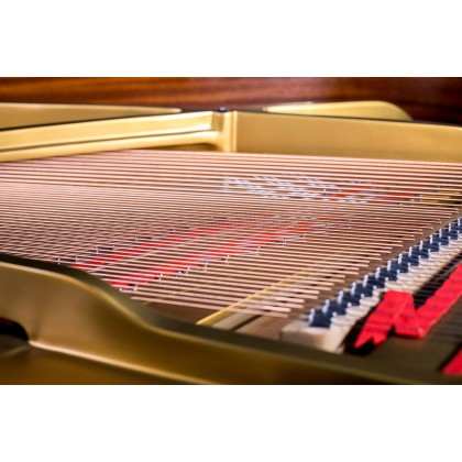 Wilh. Steinberg P152 New Acoustic German Grand Piano (P-152 / P 152 / Wilh.Steinberg / WilhSteinberg)